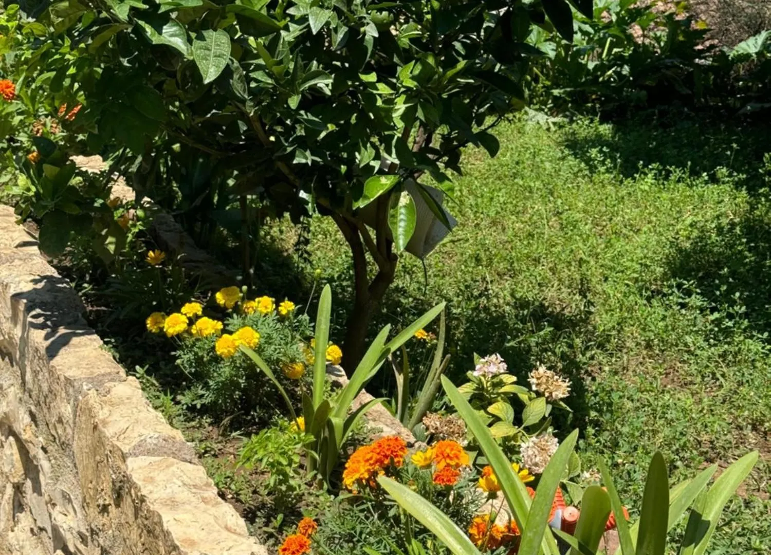 Meroli Guesthouse - Unesco Quarter Berat