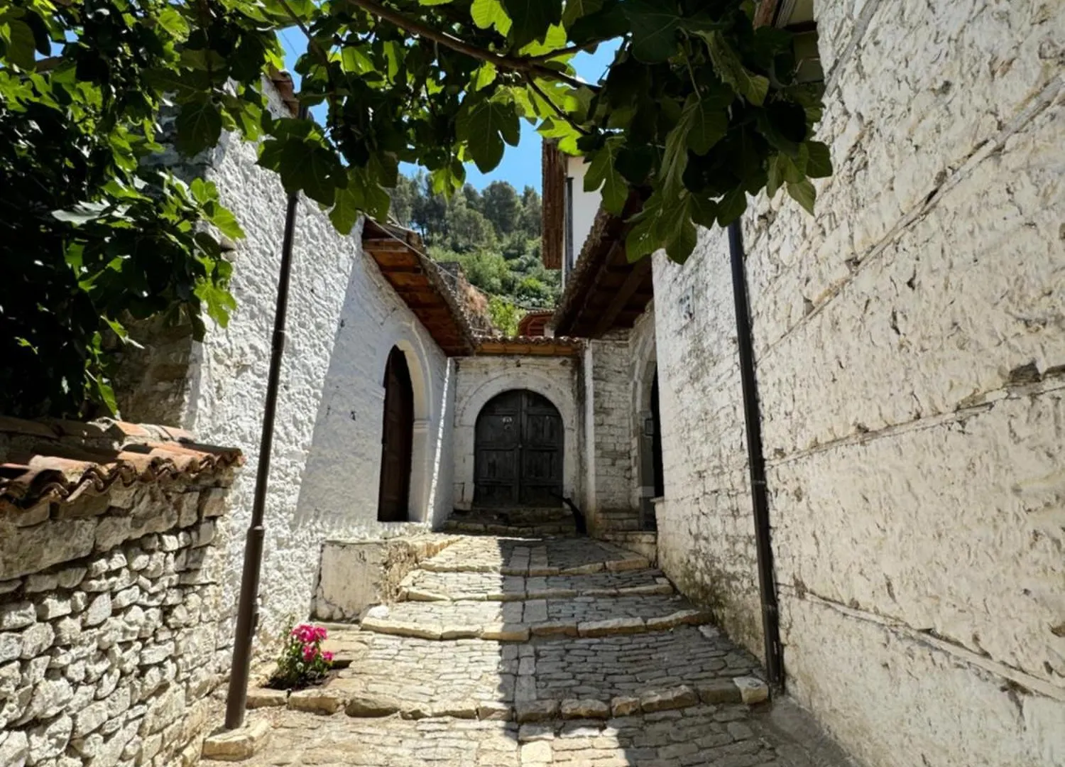 Guest house Meroli Guesthouse - Unesco Quarter Berat