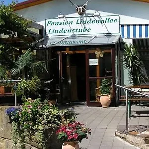Lindenallee , Neuendettelsau Germany